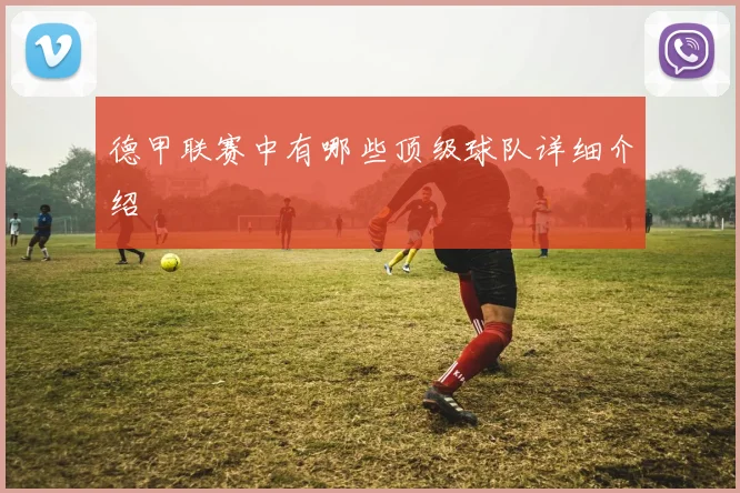 德甲联赛中有哪些顶级球队详细介绍