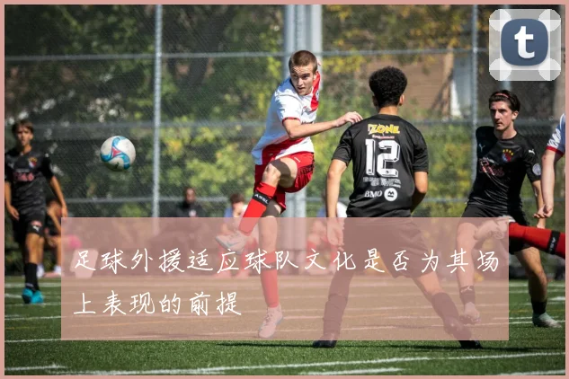 足球外援适应球队文化是否为其场上表现的前提