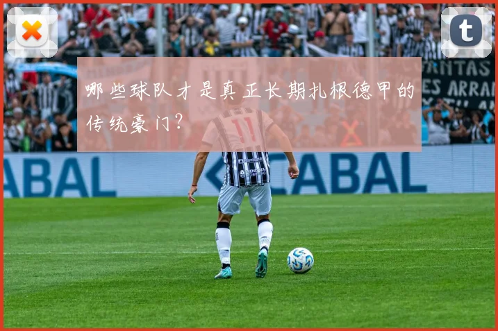 哪些球队才是真正长期扎根德甲的传统豪门？