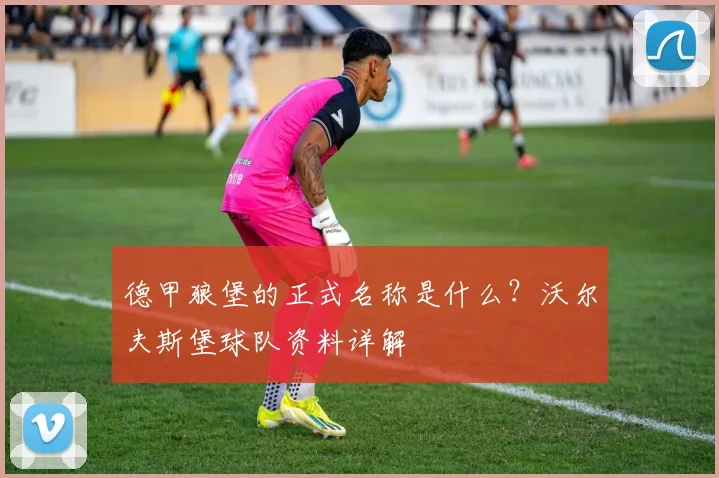 德甲狼堡的正式名称是什么？沃尔夫斯堡球队资料详解